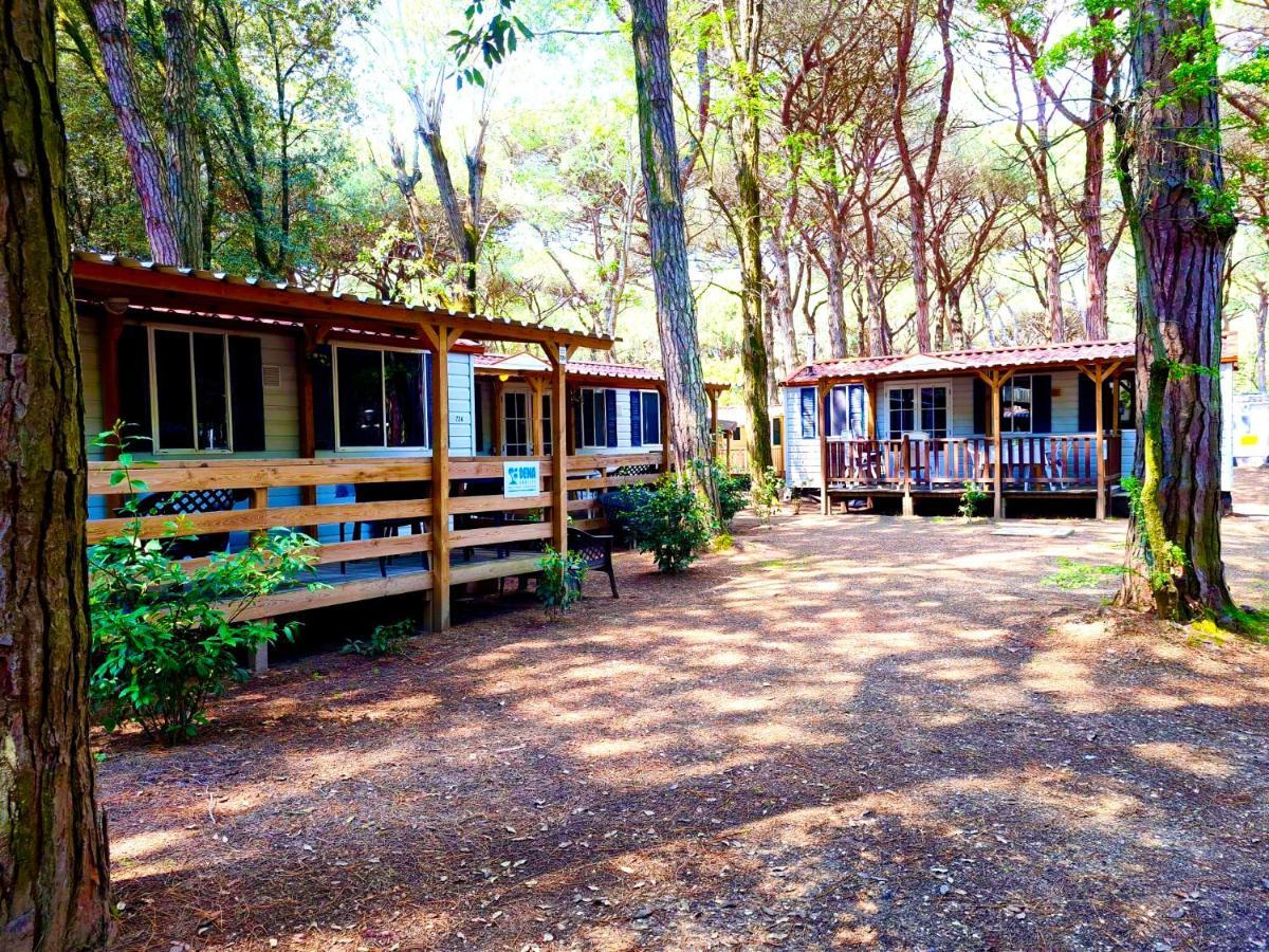Dena Chalets - Lido Di Spina At The Beach Екстер'єр фото
